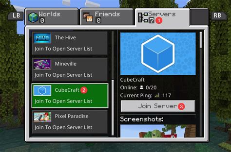 minecraft server open.